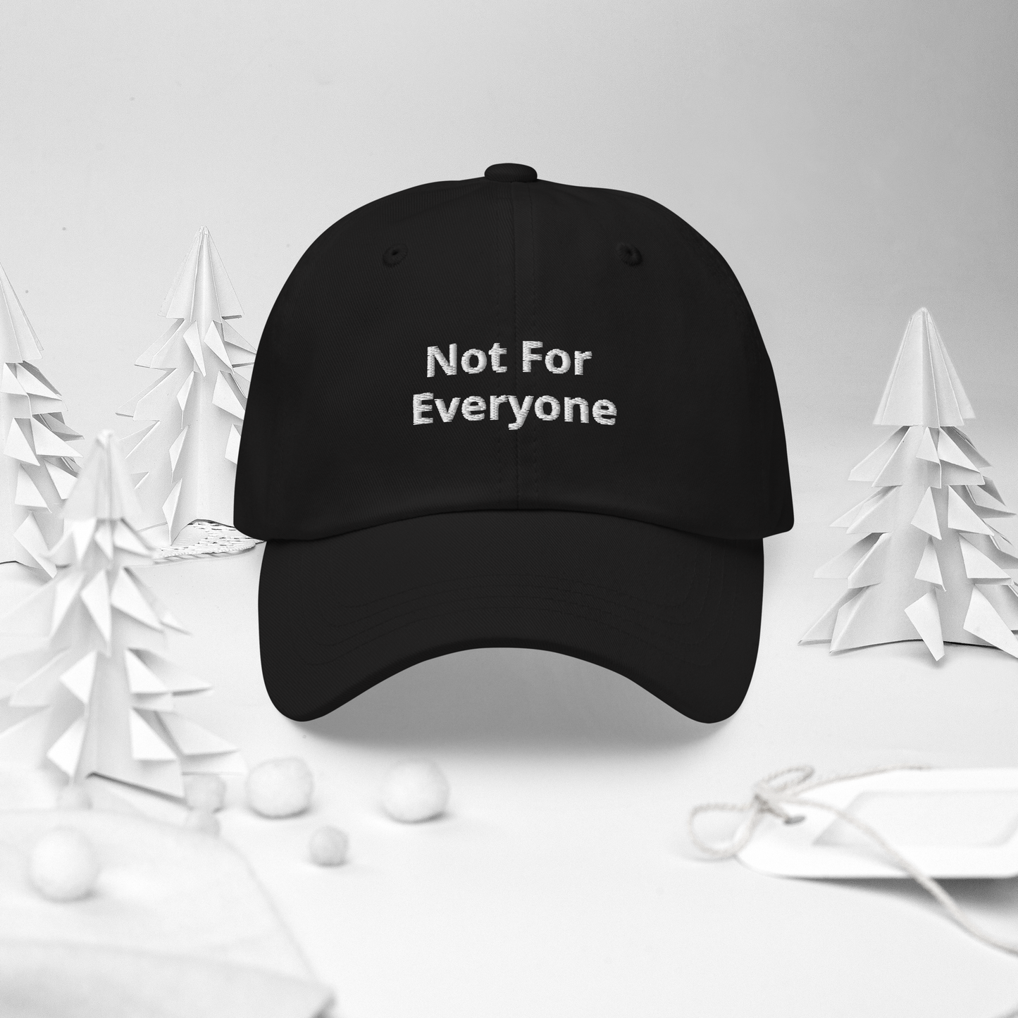 Not For Everyone Dad hat